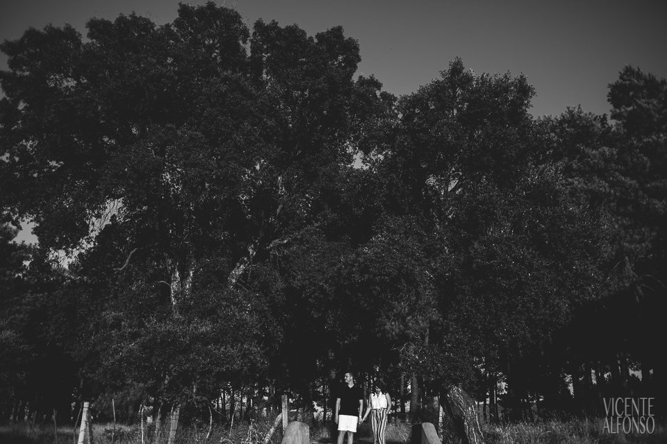 Pareja entre árboles en blanco y negro en reportaje preboda